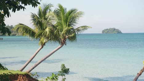 4k-static-shot-of-two-palm-trees-with-tropical-blue-ocean-and-islands-in-the-distance