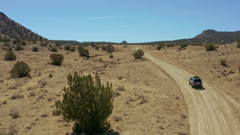Antena-Mientras-El-Vehículo-Pasa-Por-El-Ganado-En-Un-Camino-De-Tierra-En-El-Campo-Del-Desierto