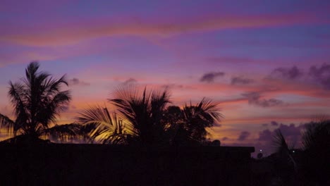 Schwenken-Erschossen-Palmen-Silhouette-Gegen-Idyllische-Sonnenuntergang-Himmel-Farben---Natürliche-Umgebung
