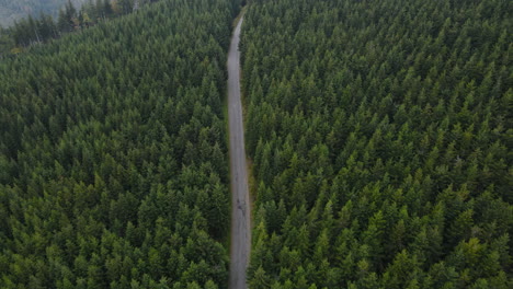 Aerial-view-of-a-trail-in-a-hilly-landscape-full-of-trees-on-top-of-a-mountain