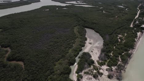 Luftaufnahme-Des-üppigen-Feldes-Und-Des-Sees-Von-Bacalar-In-Mexiko---Drohnenaufnahme