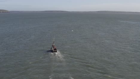 Aerial:-Seagull-flies-thru-frame,-fishing-vessel-motors-toward-shore