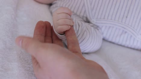 Baby-infant-newborn-white-hands-touching-with-male-adult-hands,-reaching-father's-hand,-parent-holding,-static-closeup