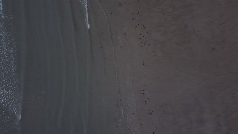 Luftaufnahme-Aus-Der-Vogelperspektive-Nach-Den-Wellen-Der-Meeresgezeiten-In-Richtung-Der-Küste-Des-Sandstrandes