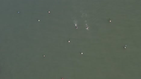 Vertical-aerial-of-swimmers-swimming-in-murky-green-water-near-buoys