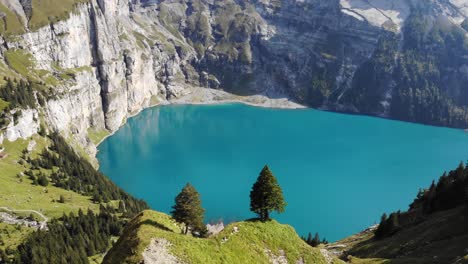 Luftüberführung-über-Die-Berühmten-Bäume-Mit-Blick-Auf-Den-Türkisfarbenen-Oeschinensee-In-Kandersteg,-Schweiz,-Mit-Blick-Auf-Die-Bluemlisalp-Und-Die-Gletscher