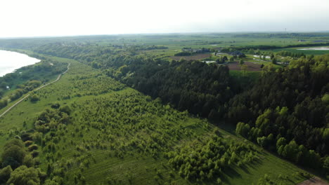 Pendiente-Forestal-Cerca-Del-Río-Nemunas-Con-Majestuosa-Vista-De-Flatlands,-Lituania