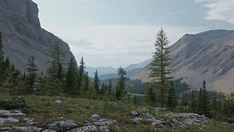 Bergteich-Tal-Kiefernwald-Näherte-Sich-Rockies-Kananaskis-Alberta-Kanada