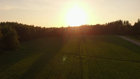Agriculture-field-with-crops-during-golden-sunset,-low-altitude-drone-flying-and-ascend