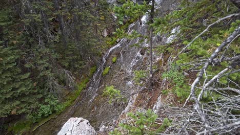 Mountain-creek-pan-to-close-up-of-Hiker-Rockies-Kananaskis-Alberta-Canada