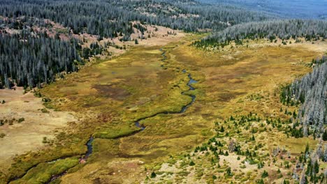 Aerial-drone-nature-landscape-tilting-down-shot-of-a-small-river-winding-through-a-large-meadow-surrounded-by-pine-trees-up-in-the-High-Uinta-National-Forest-on-the-Red-Castle-Lake-trail-in-Wyoming
