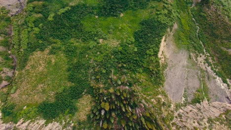 Aerial-Drone-View-of-Lush-Green-Alpine-Mountain-Slope