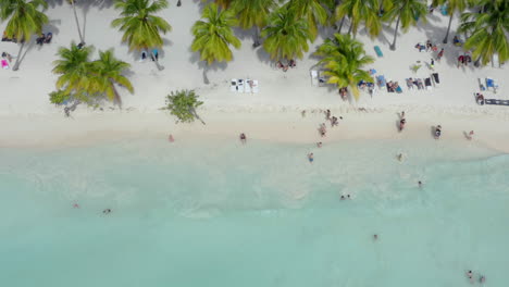 People-on-tropical-white-sand-palm-beach-in-isla-Saona,-overehead-shot