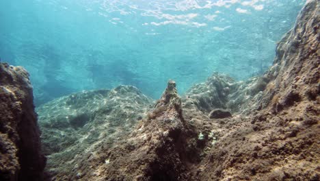 Felsige-Unterwasserlandschaft-Der-Insel-Kefalonia---Unter-Wasser