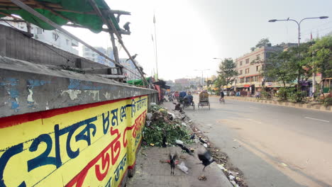Müll-Am-Straßenrand-Der-Stadt-Dhaka-Gefallen