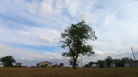 TIMELAPSE---One-single-huge-tree-in-the-middle-of-a-field-in-the-country-on-a-sunny-day-well-clouds-flow-by-in-the-sky