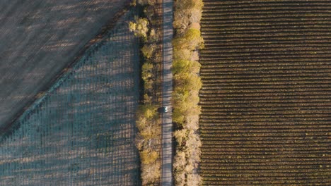 Top-Down-View-Of-Countryside-Road-With-Car-Traveling-Between-Agricultural-Fields-And-Forest---aerial-drone-shot