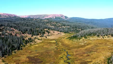 Aerial-drone-nature-landscape-tilting-up-shot-of-a-small-river-winding-through-a-large-meadow-surrounded-by-pine-trees-up-in-the-High-Uinta-National-Forest-on-the-Red-Castle-Lake-trail-in-Wyoming