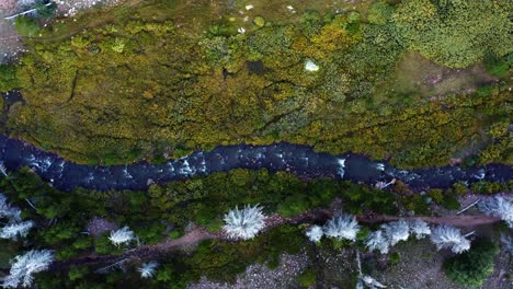 Aerial-drone-top-bird's-eye-view-of-a-small-stream-up-in-the-high-uinta-national-forest-between-Utah-and-Wyoming-on-a-deep-backpacking-trail-near-the-lower-red-castle-lake