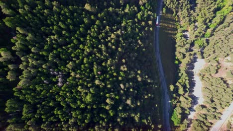 Imágenes-De-Drones-De-Un-Camión-De-Remolque-Conduciendo-Por-Una-Carretera-Solitaria-Rodeada-De-Exuberantes-árboles-Verdes-Bajo-La-Luz-Del-Sol