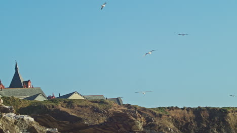 Seagulls-Flying-Over-Rooftops-and-Clifftop-of-The-Headland-Hotel-Cottages,-Newquay,-Cornwall---telephoto-shot