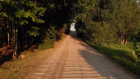 Gravel-road-overgrown-with-tree-branches-on-sunny-evening,-aerial-fly-back-view
