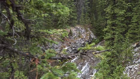 Hiker-panned-from-Mountain-creek-Rockies-Kananaskis-Alberta-Canada