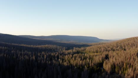 Stunning-aerial-drone-landscape-nature-lowering-shot-of-the-high-uinta-national-forest-with-meadows,-rivers,-and-pine-trees-up-at-the-lower-red-castle-lake-trail-between-Utah-and-Wyoming