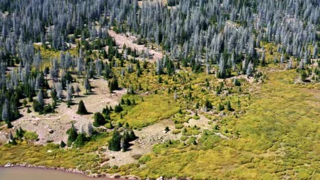 Beautiful-aerial-drone-nature-landscape-shot-of-a-couple-of-people-on-horses-heading-down-the-Red-Castle-Lake-trail-in-Wyoming-in-the-High-Uinta-National-Forest-surrounded-by-large-pine-trees