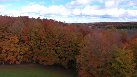 Herbstliche-Baumgrenze-Im-Nördlichen-Micihgan