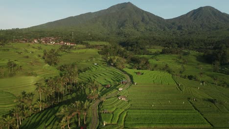 Rural-rice-fields-of-Jatiluwih-with-mountains-in-background,-pastoral-scenery,-aerial