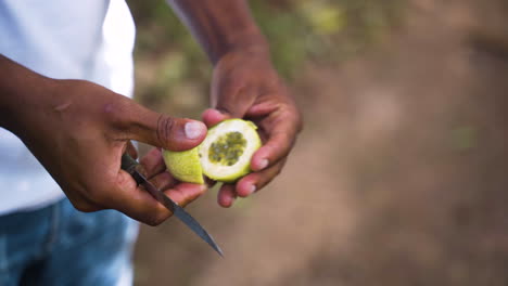 Native-cutting-juicy-exotic-green-maracuia-with-knife-in-Zanzibar-jungle