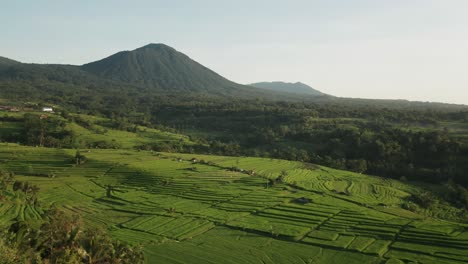 Tropical-arable-land-shaped-by-terrace-rice-fields-in-Bali,-Jatiluwih,-sunrise