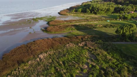 Aerial-flyover-green-river-shore-with-plants-and-muddy-pools-along-coastline-of-Vicente-Lopez,Buenos-Aires
