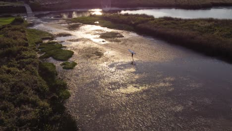Cinematic-drone-shot-of-surfer-man-taking-surfboard-over-head-after-finishing-surfing-on-Vicente-Lopez-River,Buenos-Aires---Beautiful-sunset-light-reflecting-in-water-ponds-of-river-shore