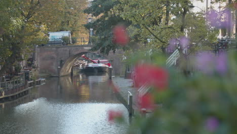 Focus-rack-from-colorful-flower-to-beautiful-canal-in-Utrecht-city,-the-Netherlands