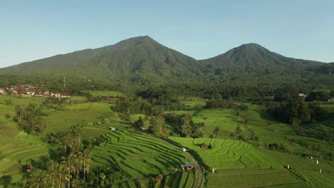 Jatiluwih-rice-fields-in-Bali-with-mountains-in-background,-aerial