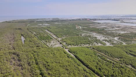 4K-Aerial-Drone-Footage-of-Mangroves-and-Woodland-over-Ban-Laem,-Phetchaburi-in-Thailand