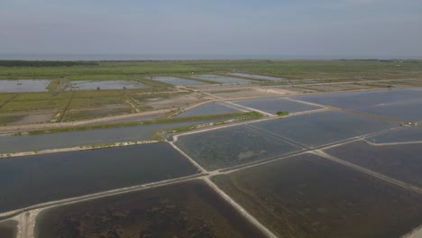 4K-Aerial-Drone-Footage-over-the-Salt-Flats-in-Phetchaburi-with-Grassy-Mangroves-in-the-Distance
