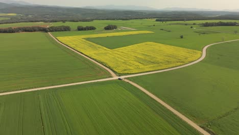 Low-speed-flight-over-a-perfectly-cultivated-field-of-green-road-junction