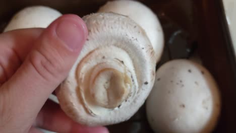 Fresh-Organic-Whole-White-Mushrooms-in-Farmers-Market-Container