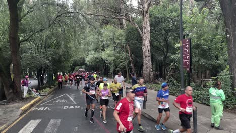 Aufnahme-Einer-Gruppe-Von-Läufern-Des-Mexico-City-Marathon-2022,-Die-Sich-Im-Chapultepec-Wald-Umdreht