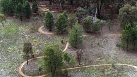 Drohne-Folgt-Mountainbikerin-Durch-Kurvenreiche-Feldwege,-Australien