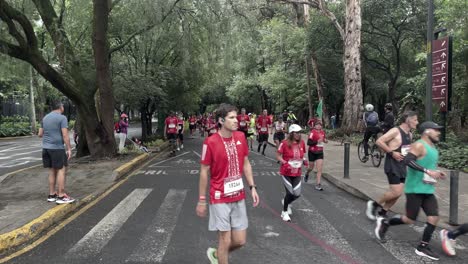 frontal-shot-of-group-of-runners-of-the-mexico-city-marathon-2022-in-the-chapultepec-forest-at-morning
