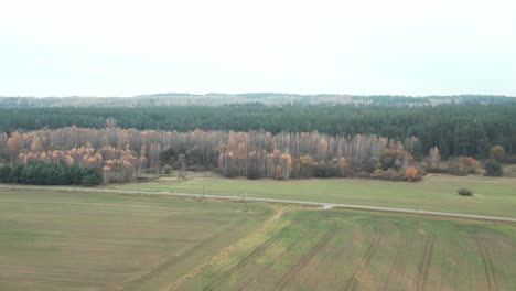 AERIAL:-Plains-with-Forest-and-Empty-Road-in-Background