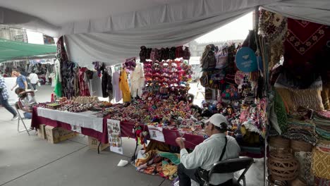 shot-of-indigenous-craft-vendors-in-the-zocalo-of-mexico-city