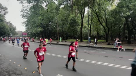 shot-of-group-of-runners-of-the-mexico-city-marathon-2022-in-the-chapultepec-forest-at-morning