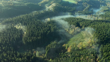 Cloud-of-mist-through-the-green-forest-of-Sommerain,-Belgium--Aerial