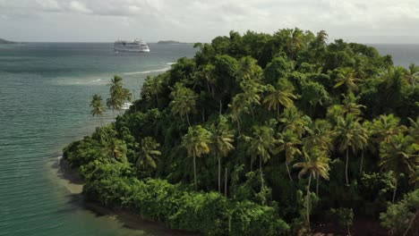 Aerial-orbit-shot-of-tropical-island-with-green-palm-trees-and-Cruise-Liner-cruising-on-Caribbean-Sea-during-sunlight---Samana-Bay-with-crystal-clear-shore