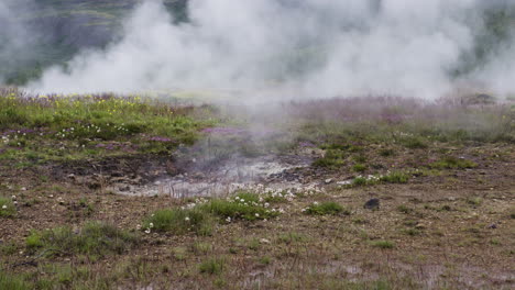 Ground-level-view-of-a-little-geyser-pumping-steam-out-of-the-earth,-Iceland